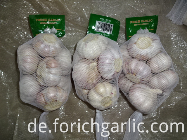 Best Quality 2019 Normal White Garlic